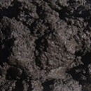 Пресноводная грязь сапропелевого типа